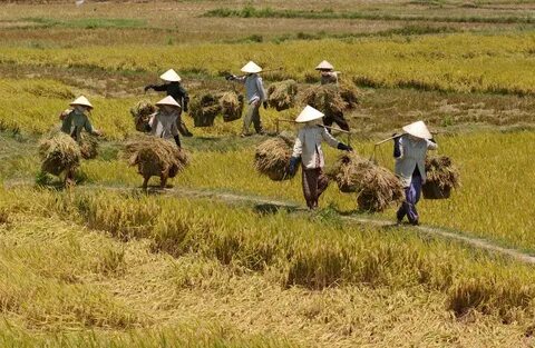 Sự Bùng Nổ Của Video Ngắn và Trí Tuệ Nhân Tạo: Vai Trò Thiết Yếu Của Đào Tạo Kỹ Năng Sáng Tạo Nội Dung_Tiếp thị kỹ thuật số cho người mới bắt đầu