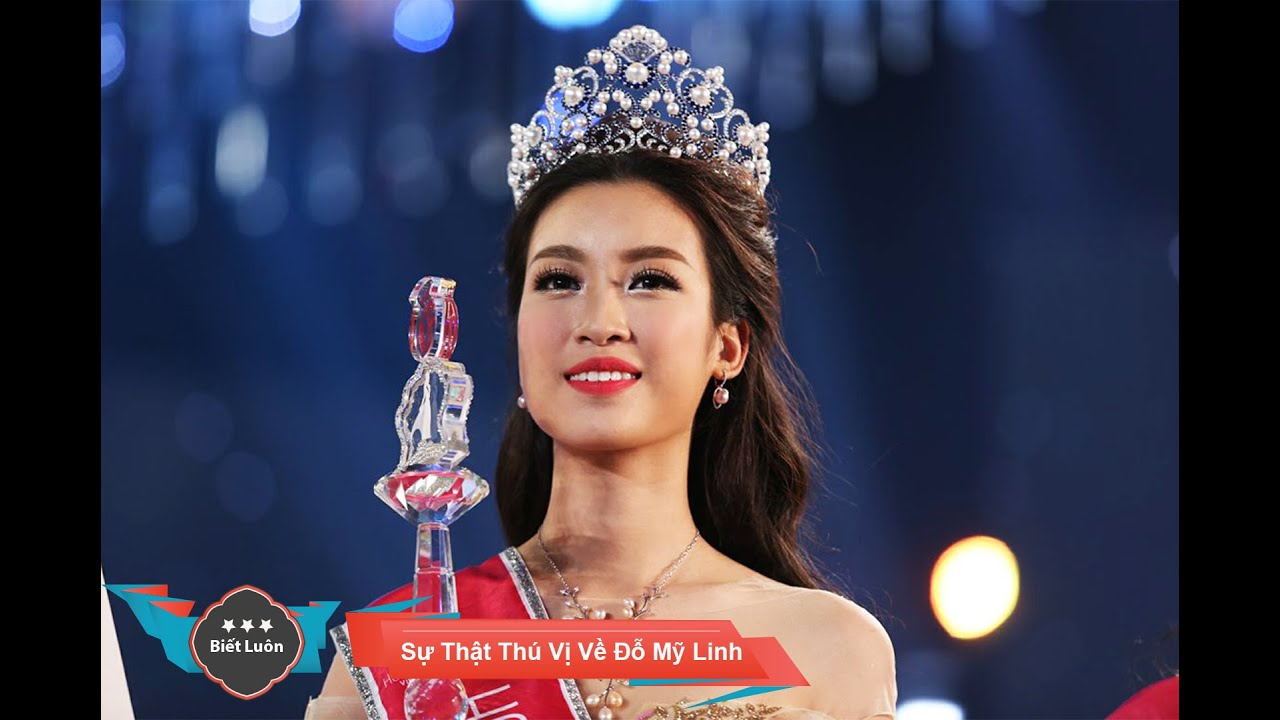 Sự Bùng Nổ Của Video Ngắn và Trí Tuệ Nhân Tạo: Vai Trò Thiết Yếu Của Đào Tạo Kỹ Năng Sáng Tạo Nội Dung