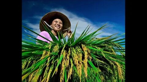 Video ngắn – Giải pháp truyền thông thông minh cho doanh nghiệp nhỏ_chiến lược hiệu quả tiếp thị video