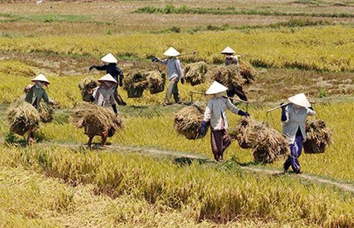 Sự Bùng Nổ Của Video Ngắn và Trí Tuệ Nhân Tạo: Vai Trò Thiết Yếu Của Đào Tạo Kỹ Năng Sáng Tạo Nội Dung_Tiếp thị kỹ thuật số đại lý