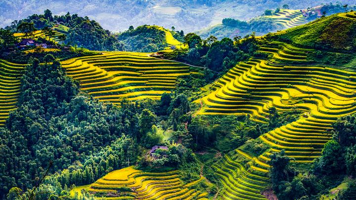 Freelancer Và Cơ Hội Kiếm Tiền Từ Nền Tảng Hotspot Matrix
